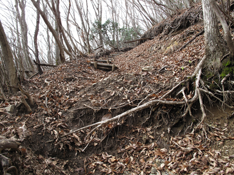 20151116hike (253)